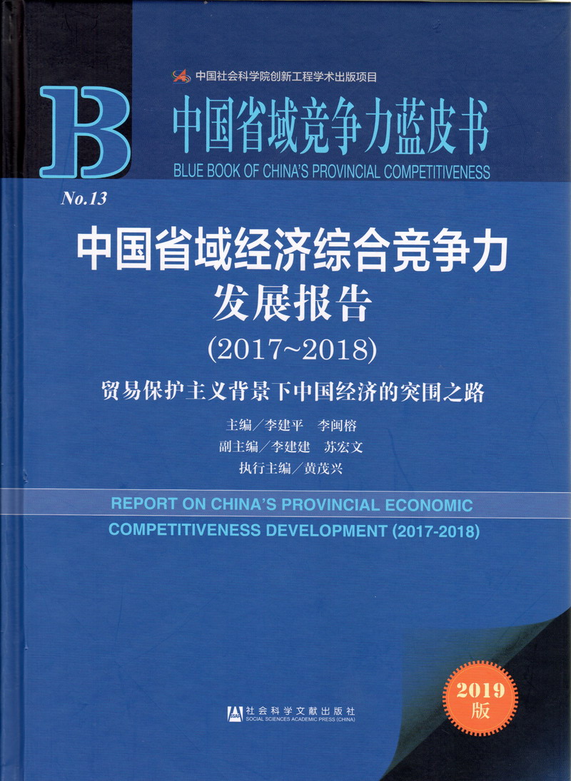 肏老太婆逼中国省域经济综合竞争力发展报告（2017-2018）