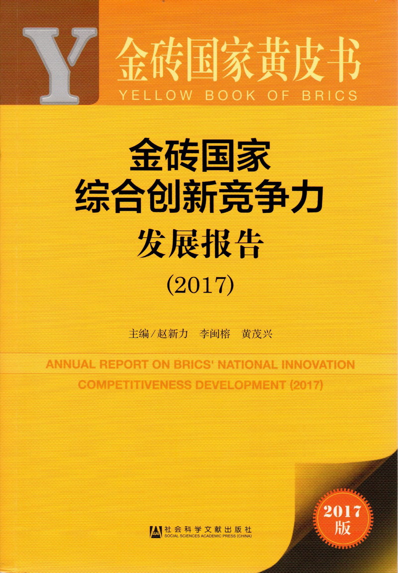 粉嫩少萝扣粉逼金砖国家综合创新竞争力发展报告（2017）